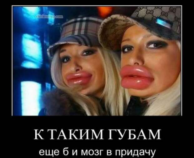 К таким губам еще б и мозг К таким губам еще б и мозг