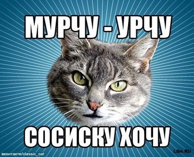 Мем: Типичный Кот