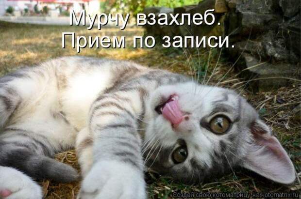 Мысли вслух :)