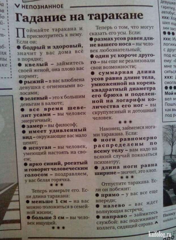 Фото приколы про Россию. Подборка - 270 (85 фото)