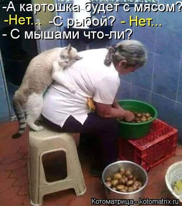 Замечательная котоматрица (27 фото)