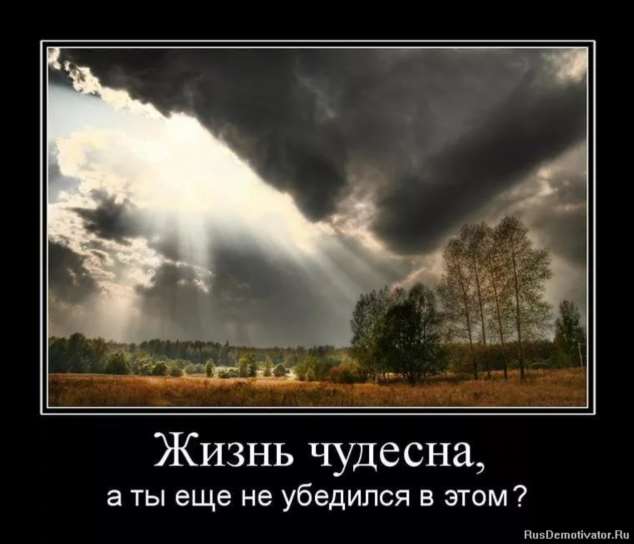 Прикольные демотиваторы с надписями. Подборка chert-poberi-dem-chert-poberi-dem-56520724102020-5 картинка chert-poberi-dem-56520724102020-5