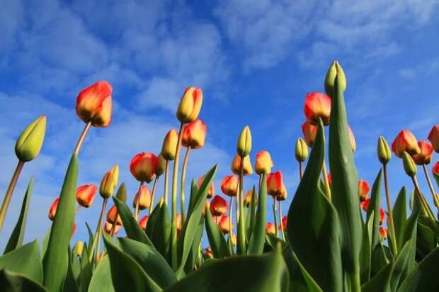 nature7