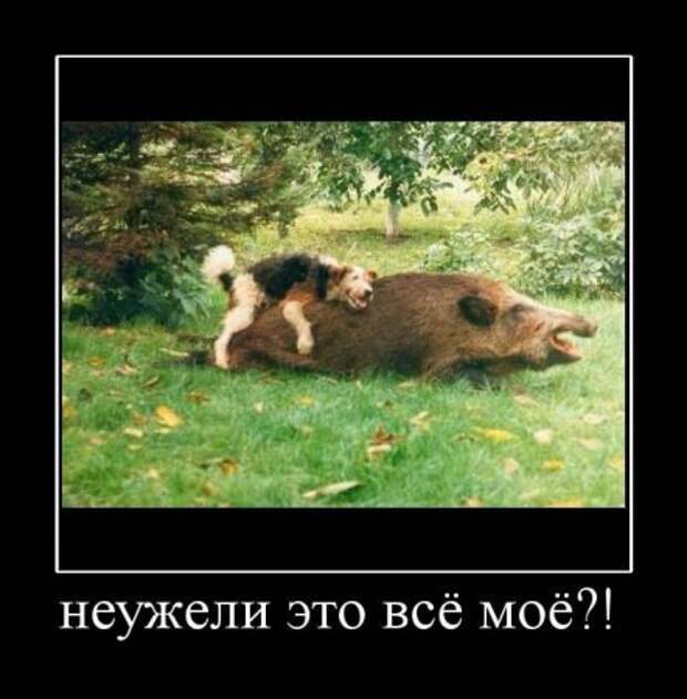 Демки, будет смешно!