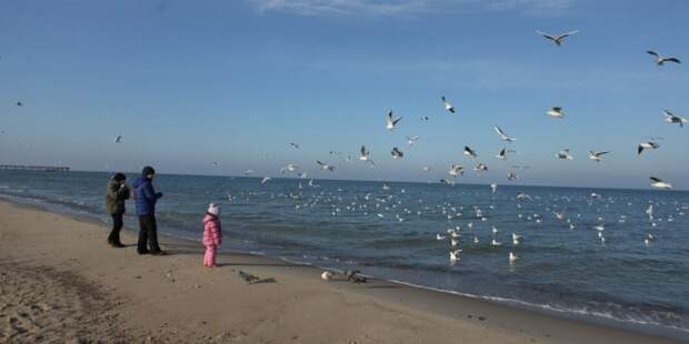 Девальвация рубля подстегнула интерес иностранцев к России