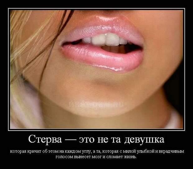 Демотиваторы (31 фото) Демотиваторы (31 фото)