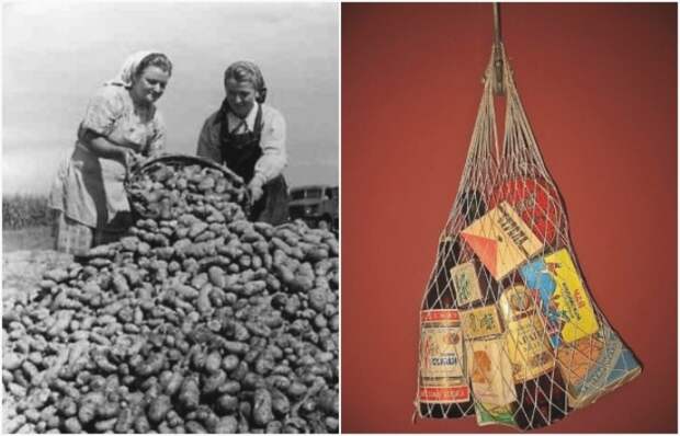 5 трендов родом из СССР, которые ворвались в этом году