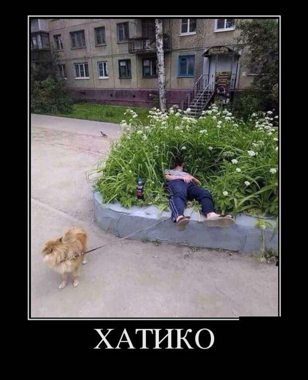 Демотиваторы (30 фото)