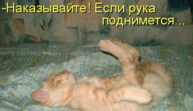 Давайте улыбаться вместе :)