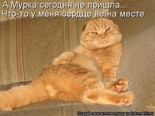 Мысли вслух :)
