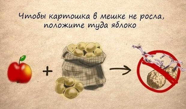 Полезные советы 5