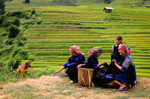 viet