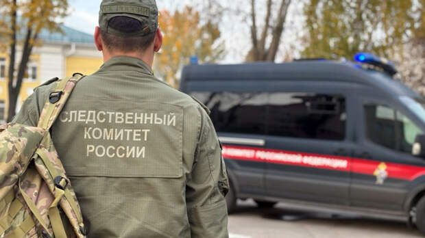 Пили сырую воду: норовирус спровоцировал массовое отравление в Нижегородской области