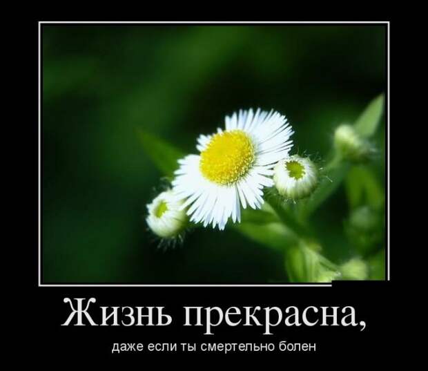 Демотиваторы (30 фото)