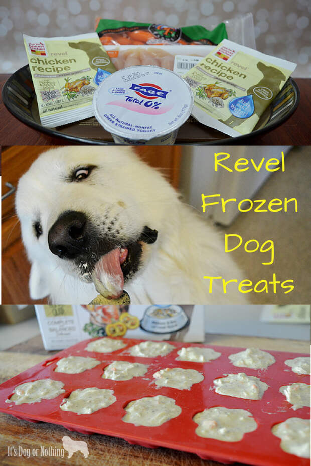 How to create frozen dog treats using the new Revel food from The Honest Kitchen.