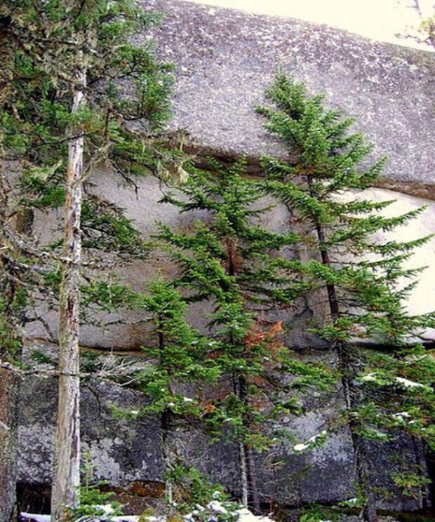 Самые известные мегалиты России (50 фото)
