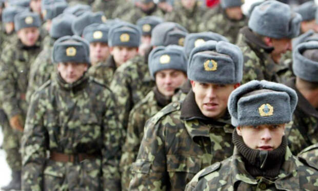 Министр обороны Украины рассказал, когда страна вступит в НАТО 