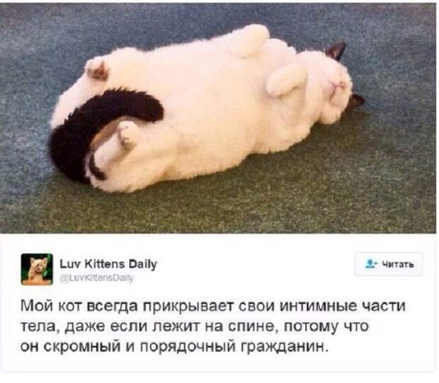 Вызывающие улыбку перлы из социальных сетей Вызывающие улыбку перлы из социальных сетей