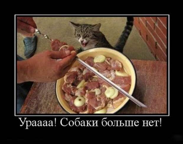 Прикольные Демы