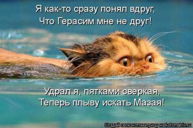 Котоматрицы (картинки с надписями)