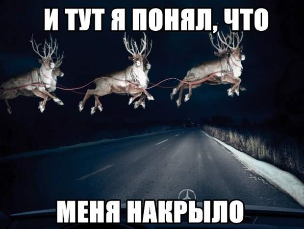 Смешные картинки с надписями прикол, юмор