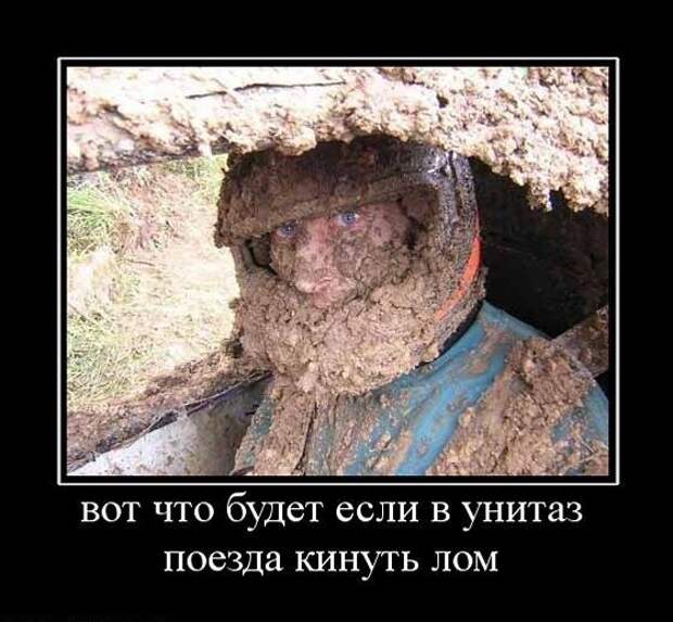 Унитазы, как часть нашей жизни Унитазы, как часть нашей жизни