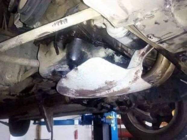 Пятничные фотоприколы