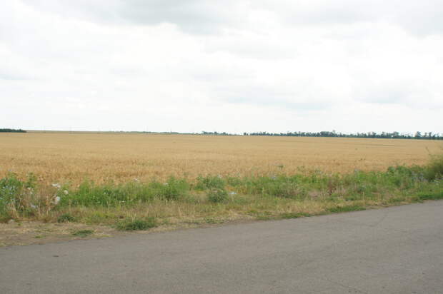 Ростовскую область к концу июня накроет почвенная засуха