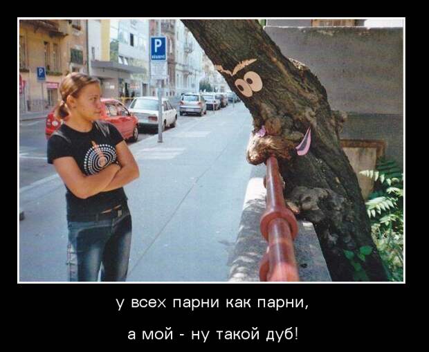 Демотиваторы демотиваторы, животные, прикол, юмор