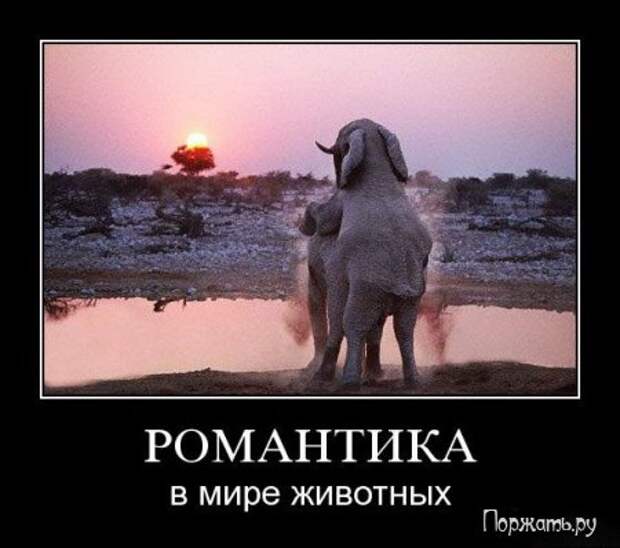 Демотиваторы прикольные и со смыслом, смешные и серьезные.