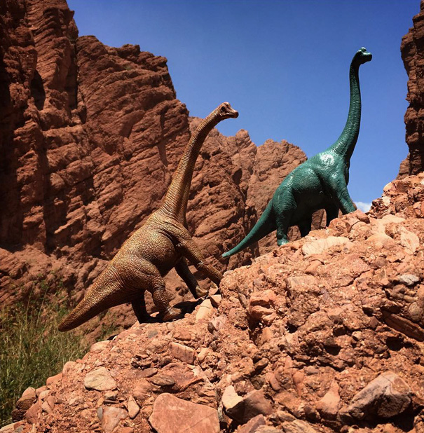 travel-photography-dinosaur-toys-dinodinaseries-jorge-sa_013