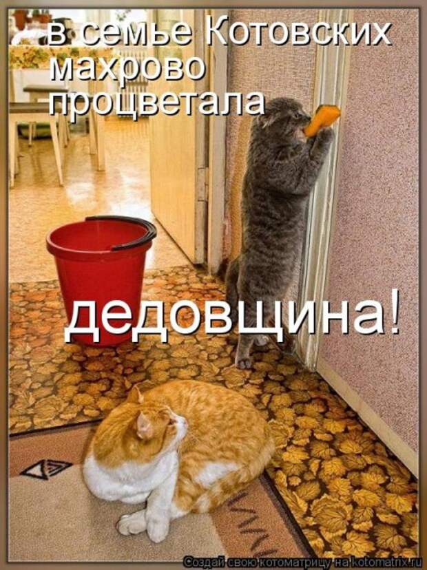 Мысли вслух :)