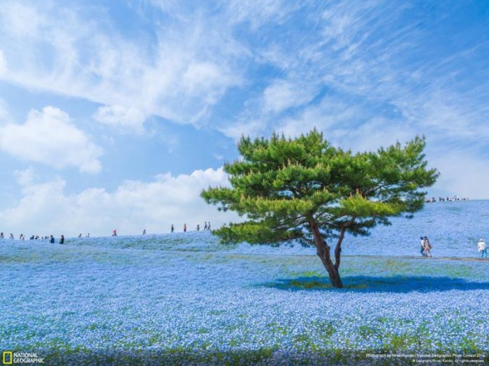 Лучшие фотографии National Geographic ноября 2014 (10 фото)
