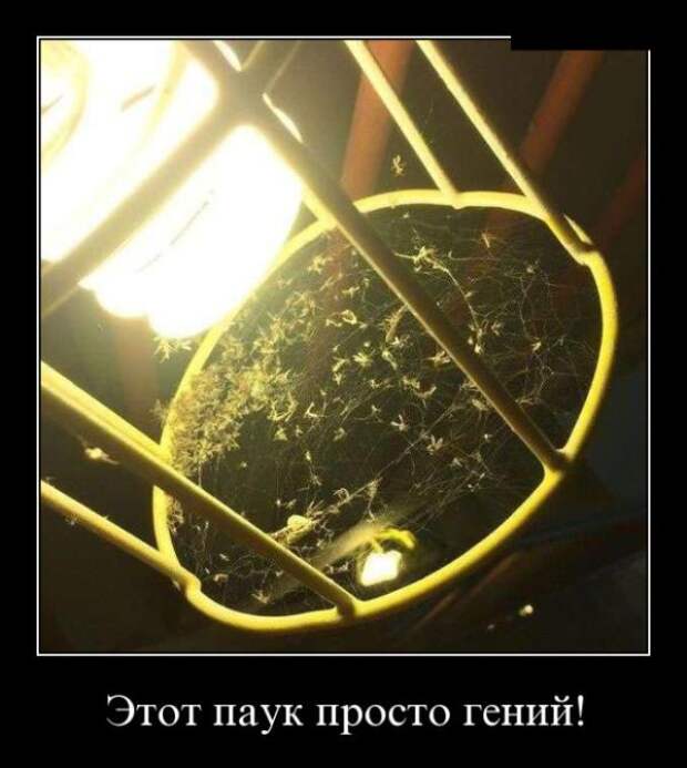 Демотиваторы (30 фото)