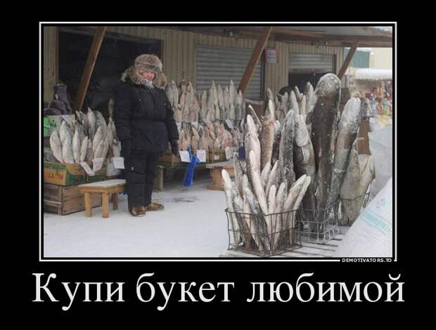 Демотиваторы Демотиваторы демотиваторы, юмор