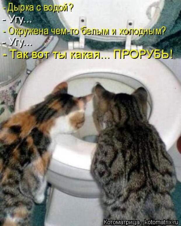 Забавные котоматрицы