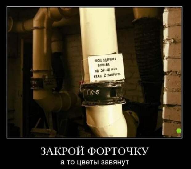 Демотиваторы смешные на сегодня.
