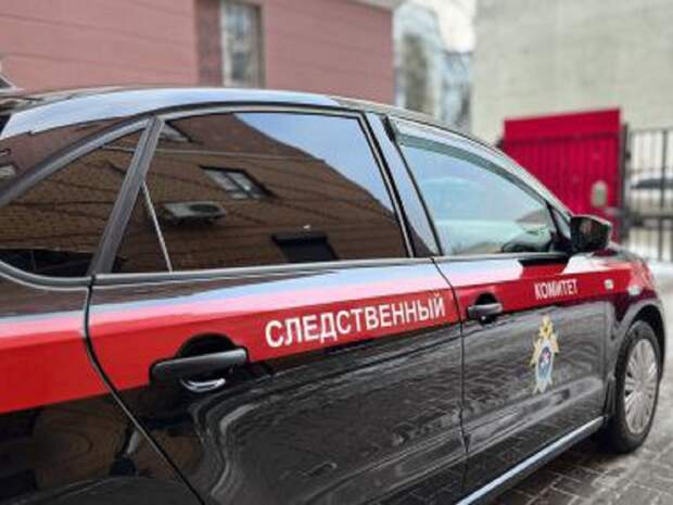 Задушил и прикопал: ярославские следователи раскрыли убийство восьмилетней давности