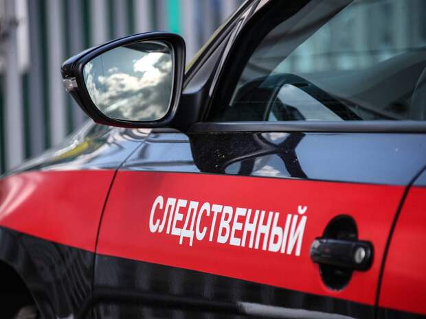 Психолог Коржаева разобрала записку 14-летней поклонницы битцевского маньяка