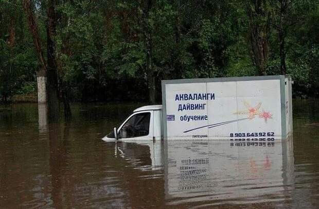 Фотоприколы кучей
