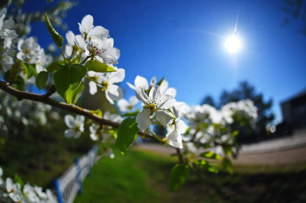 Русских ждут длинные выходные в мае: стало известно, когда отдыхать