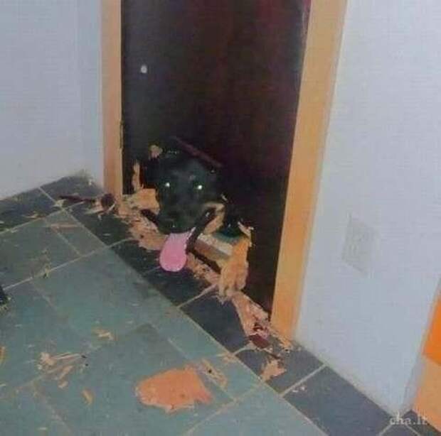 Приятно, когда тебя ждут
