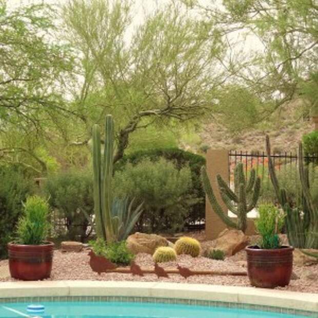 creative-use-large-pots-and-containers-in-garden19-1