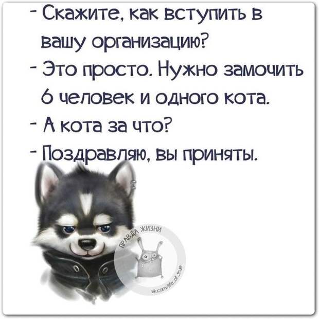 Скажите, как вступить в вашу организацию?