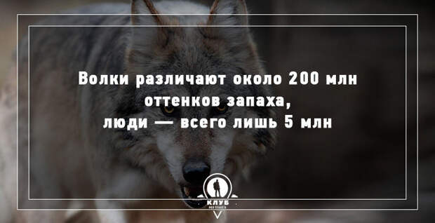 9 интересных фактов о мире в мире, факты