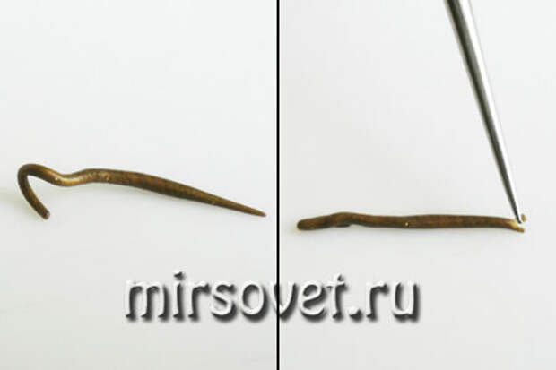 жгутики для рисунка кожи змеи
