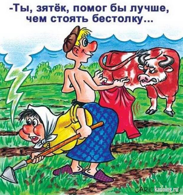 Смешные карикатуры и картинки (55 штук)