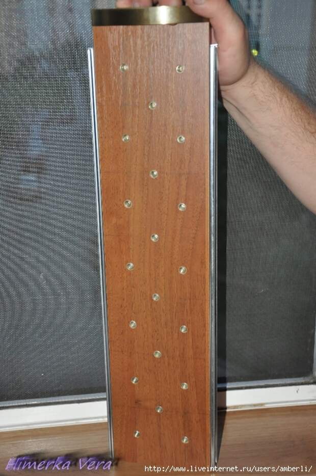 DSC_0876-2 (464x700, 262Kb)