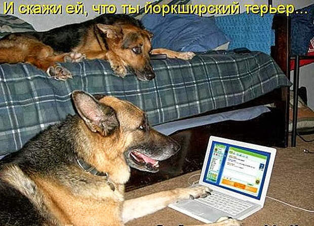 1252660546_1252658973_1252475873_353608