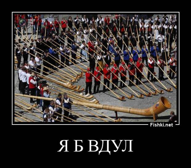 Демотиваторы  демотиваторы, прикол, смех, юмор
